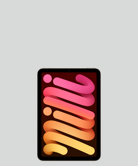 Apple iPad mini